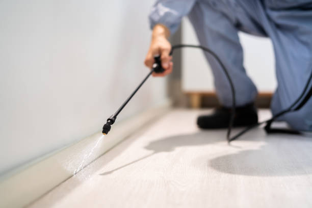 Rodent Entry Point Assessment in Slidell