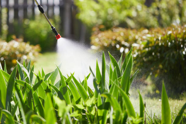 Tamper-Resistant Bait Stations for Rodents in Slidell