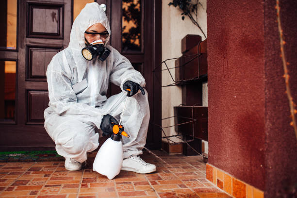 Attic and Crawl Space Rodent Treatment in Slidell