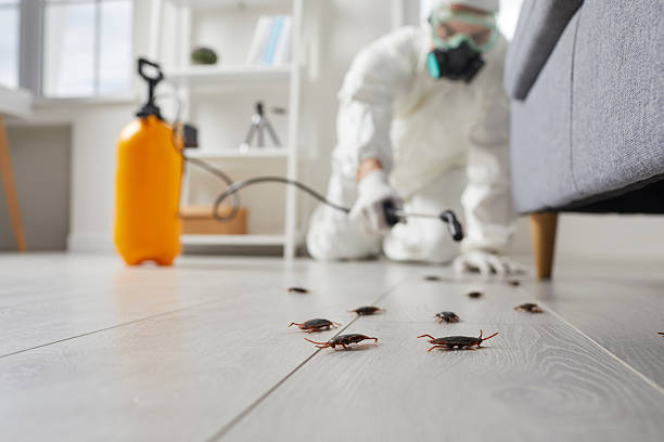 Commercial Rodent Management in Slidell